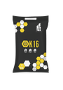 JDK  K16